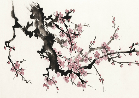 Kirschblüten
